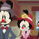 Animaniacs